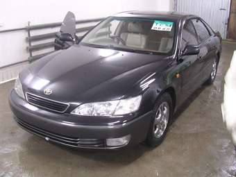 1999 Toyota Windom