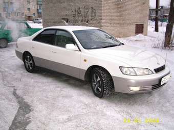 Toyota Windom