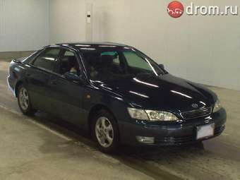 1999 Toyota Windom Pictures