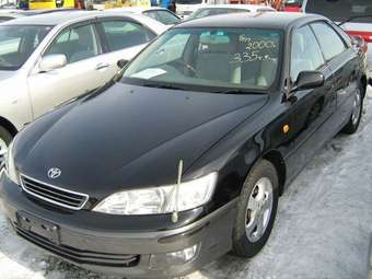 2000 Windom