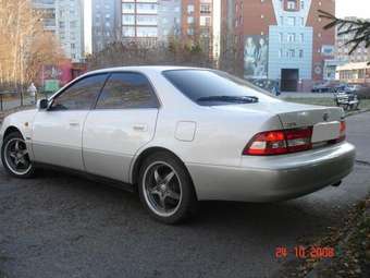 2000 Windom