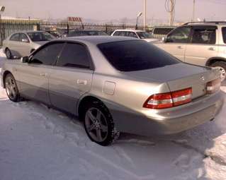 2000 Windom