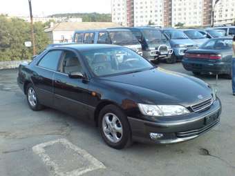 Toyota Windom