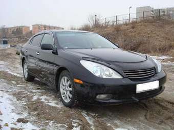 2001 Toyota Windom