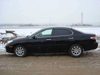 2001 Windom