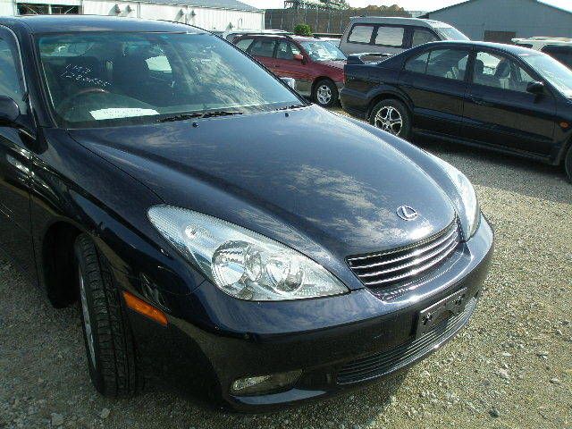 2001 Toyota Windom