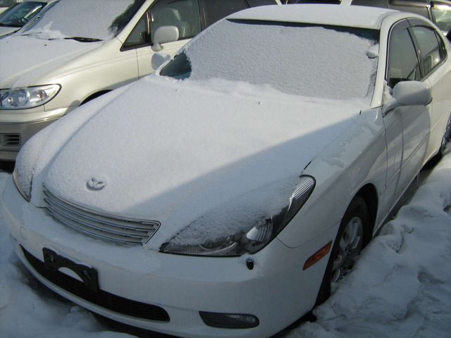 2001 Toyota Windom
