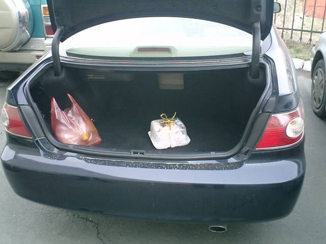 2002 Toyota Windom
