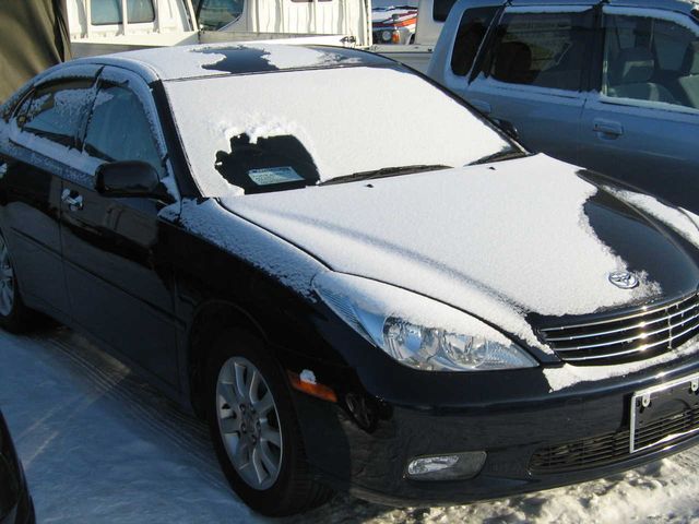 2002 Toyota Windom