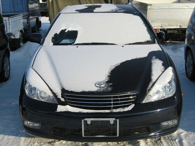 2002 Toyota Windom