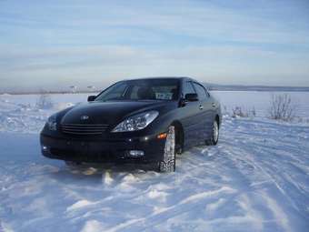 2003 Toyota Windom Pics