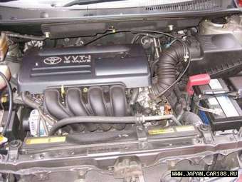 2003 Toyota Wish Pictures
