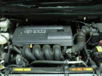 2003 Toyota Wish Pictures