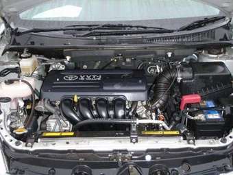 2003 Toyota Wish Pictures
