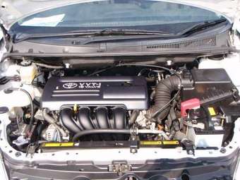 2003 Toyota Wish Pictures
