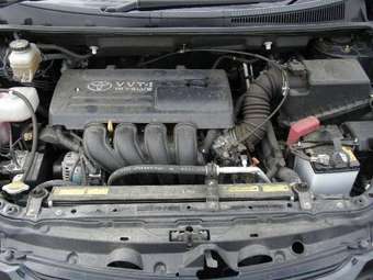 2003 Toyota Wish Pictures