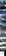 Preview Wish