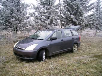 2003 Toyota Wish Photos