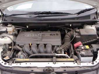 2004 Toyota Wish Pictures