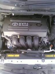 2005 Toyota Wish Pictures
