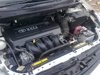 2005 Toyota Wish Pictures