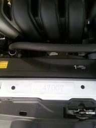 2005 Toyota Wish Photos