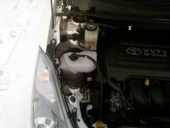 2005 Toyota Wish Pictures