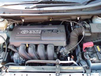 2005 Toyota Wish Pictures