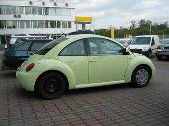 Beetle