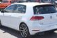 Golf VII 5G1 2.0 TSI MT 4Motion R 5dr. (288 Hp) 