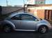 Preview New Beetle