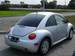 Preview New Beetle
