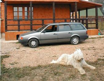 1989 Volkswagen Passat