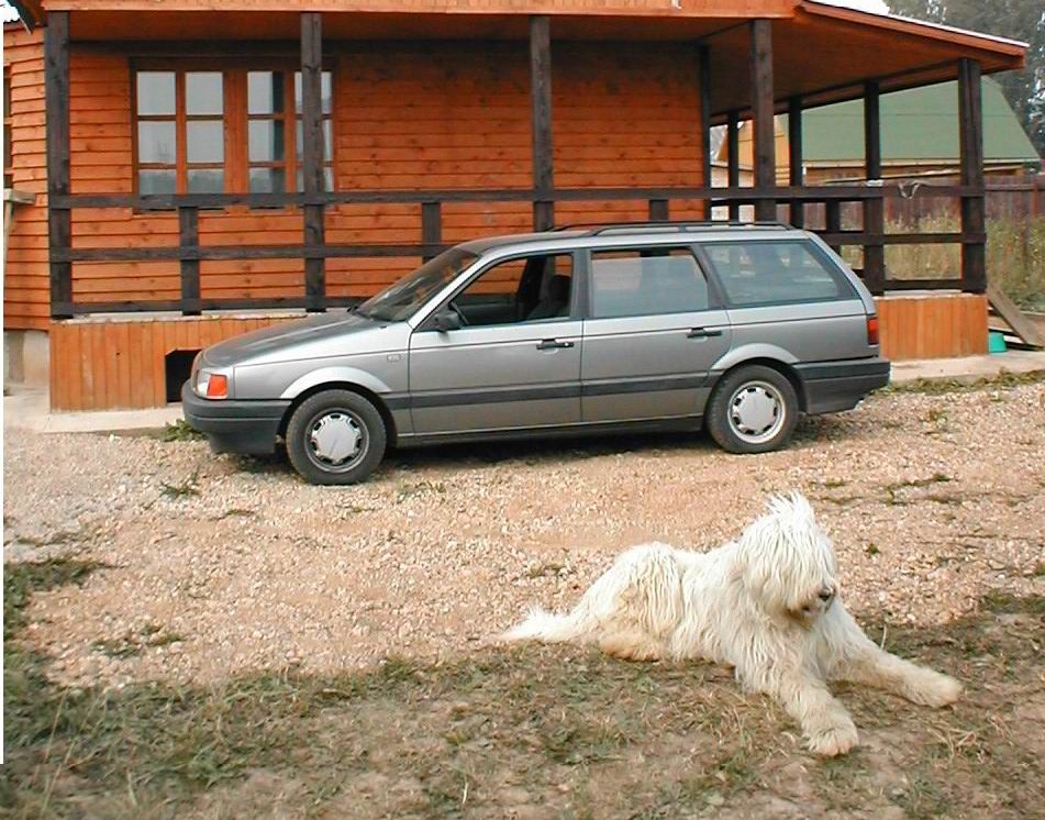1989 Volkswagen Passat