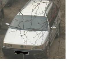 1990 Volkswagen Passat Pictures