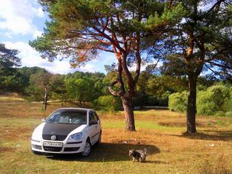 2008 Volkswagen Polo Photos