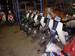 Preview Yamaha AXIS