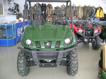 2008 Yamaha BR Pictures