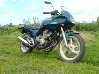 1991 Yamaha Diversion For Sale