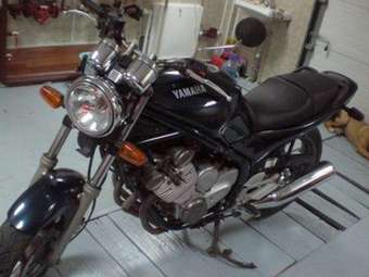1996 Yamaha Diversion Pictures