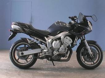 2004 Yamaha FZ Photos