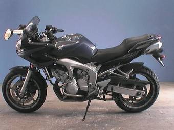 2004 Yamaha FZ Photos