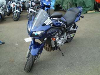 2005 Yamaha FZ Pictures