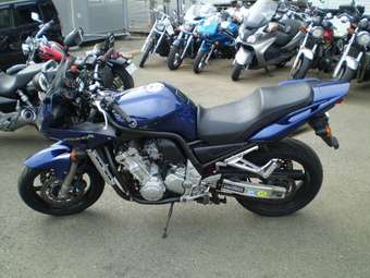 2005 Yamaha FZ Pictures