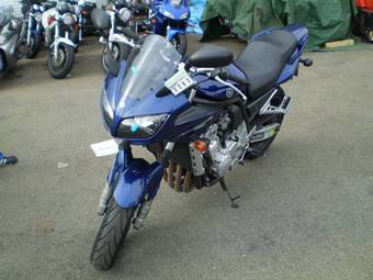 2005 Yamaha FZ Photos