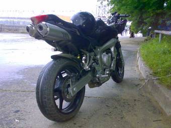 2007 Yamaha FZ Photos