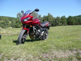 2008 Yamaha FZ Photos