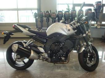 2008 Yamaha FZ Pictures