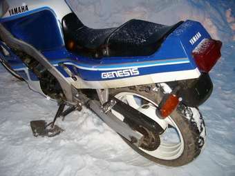 1987 Yamaha FZR Pictures