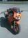 Preview FZR